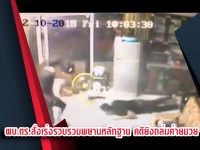 เวบแทงมวย